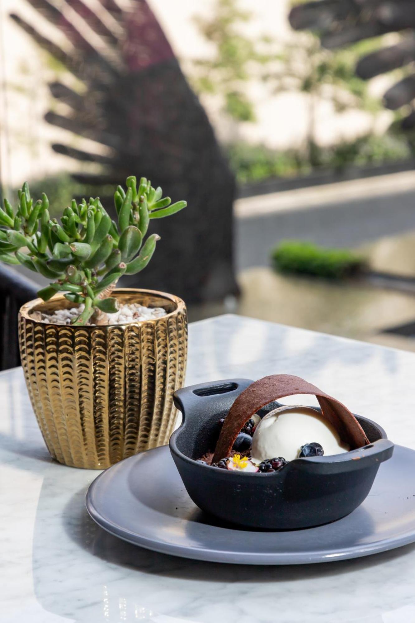 Hyatt Regency Andares Guadalajara Hotel Zapopan Exterior foto A plant in a gold pot